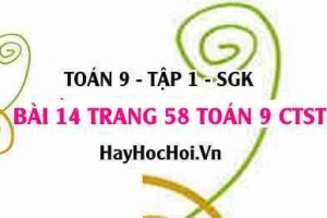 Bài 14 trang 58 Toán 9 tập 1 Chân trời sáng tạo
